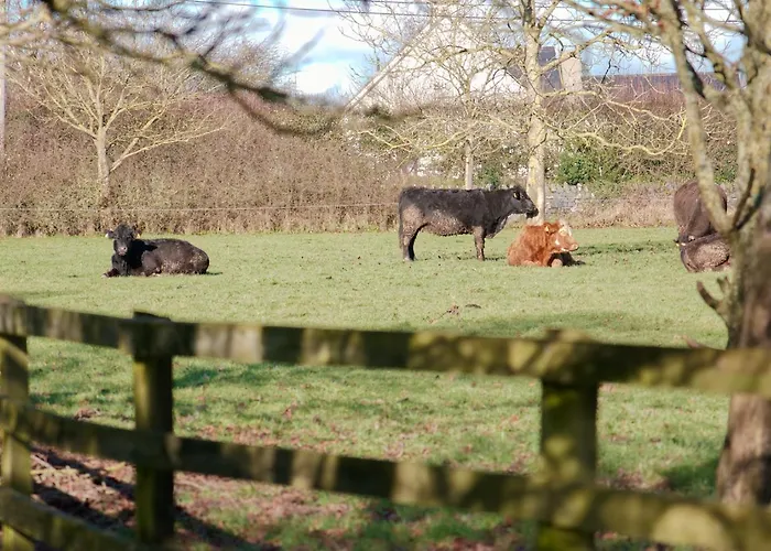 Luxury בית אירוח *